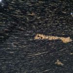 Fish Gold Granite Slab 2 cm SGR zoom