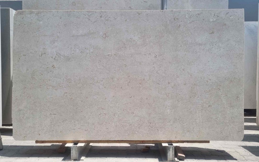 Lime Stone Shell Beige Polished Slab 2cm