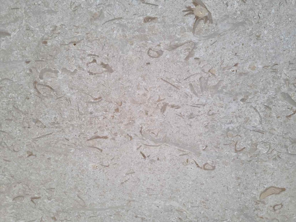 Lime Stone Shell Beige Polished Slab 2cm zoom