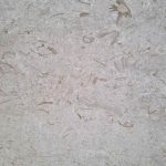 Lime Stone Shell Beige Polished Slab 2cm zoom