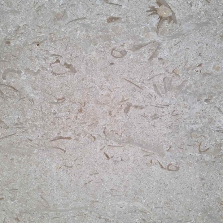 Lime Stone Shell Beige Polished Slab 2cm zoom
