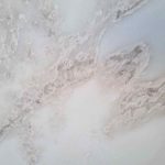 Oyster White Polished Slab 2cm MS zoom