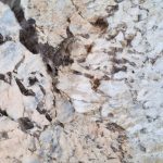 Quartzite Epic Patagonia Slab 2 cm AN Zoom