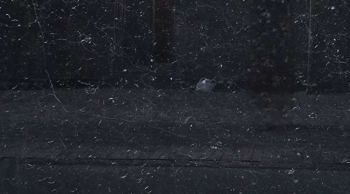 NERO MARQUINA SLAB 2CM B 61919